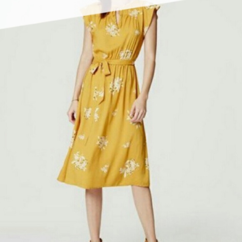 Loft Hydrangea flutter dress